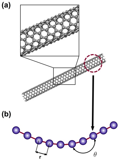 Adhesion Of Carbon Nanotube